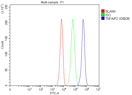 a10874 2 tnfaip2 primary antibodies fcm testing 1