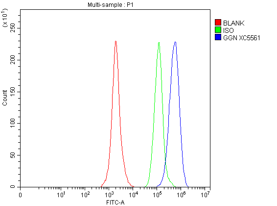 a10914 2 ggn primary antibodies fcm testing 2