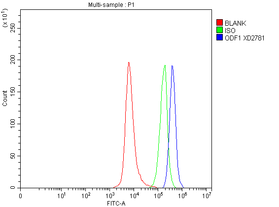 a10931 odf1 primary antibodies fcm testing 1