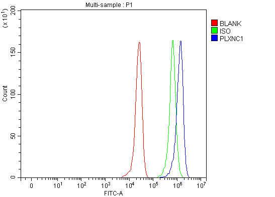Figure 2. Flow Cytometry analysis of HepG2 cells using anti-PLXNC1 antibody (A10941-1). Overlay histogram showing HepG2 cells stained with A10941-1 (Blue line). The cells were fixed with 4% paraformaldehyde and blocked with 10% normal goat serum. And then incubated with rabbit anti-PLXNC1 Antibody (A10941-1, 1 microg/1x106 cells) for 30 min at 20°C. DyLight®488 conjugated goat anti-rabbit IgG (BA1127, 5-10 microg/1x106 cells) was used as secondary antibody for 30 minutes at 20°C. Isotype control antibody (Green line) was rabbit IgG (1 microg/1x106) used under the same conditions. Unlabelled sample (Red line) was also used as a control.