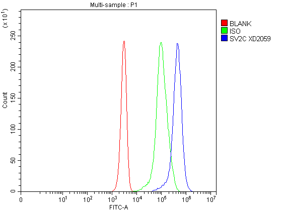  Flow Cytometry analysis of Jurkat cells using anti-SV2C antibody (A10958-1)
