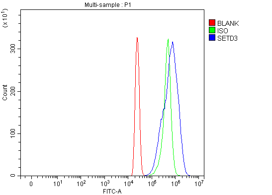 a10965 1 setd3 primary antibodies fcm testing 11