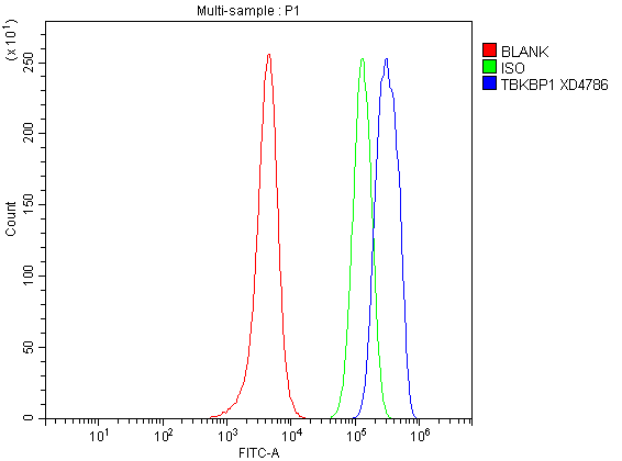 Flow Cytometry analysis of SH-SY5Y cells using anti-TBKBP1 antibody (A10984-1)