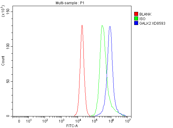 Flow Cytometry analysis of PC-3 cells using anti-GALK2 antibody (A11000)