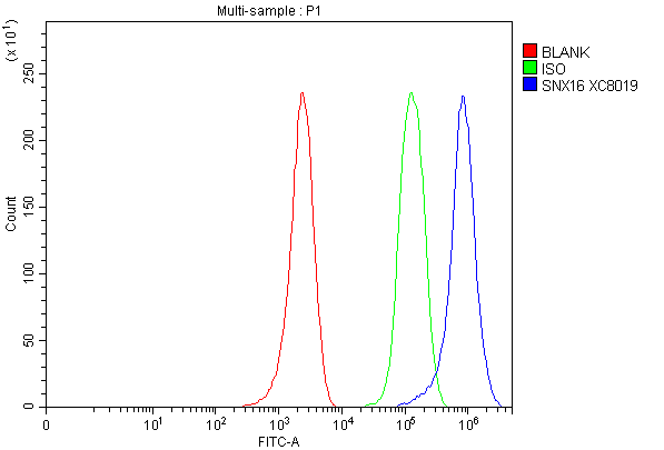 a11003 3 snx16 primary antibodies fcm testing 1