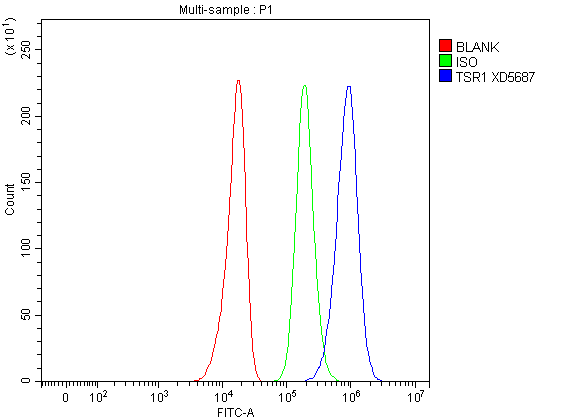 a11043 1 tsr1 primary antibodies fcm testing 1