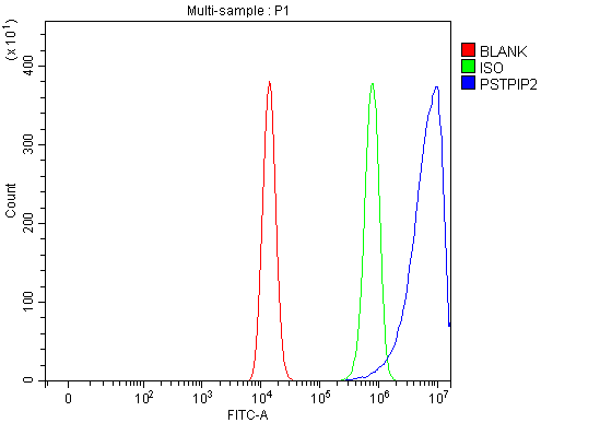 Figure 3. Flow Cytometry analysis of HEL cells using anti-PSTPIP2 antibody (A11056-1). Overlay histogram showing HEL cells stained with A11056-1 (Blue line). To facilitate intracellular staining, cells were fixed with 4% paraformaldehyde and permeabilized with permeabilization buffer. The cells were blocked with 10% normal goat serum. And then incubated with rabbit anti-PSTPIP2 Antibody (A11056-1, 1 microg/1x106 cells) for 30 min at 20°C. DyLight®488 conjugated goat anti-rabbit IgG (BA1127, 5-10 microg/1x106 cells) was used as secondary antibody for 30 minutes at 20°C. Isotype control antibody (Green line) was rabbit IgG (1 microg/1x106) used under the same conditions. Unlabelled sample (Red line) was also used as a control.