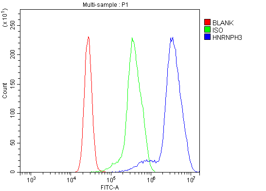 a11090 1 hnrnpn3 primary antibodies fcm testing 10