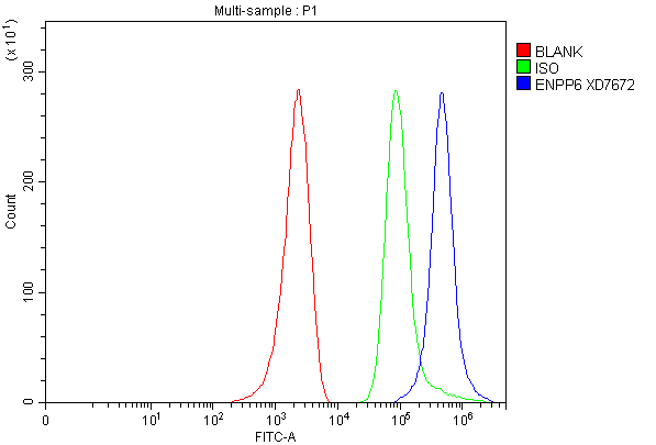 a11099 enpp6 primary antibodies fcm testing 1