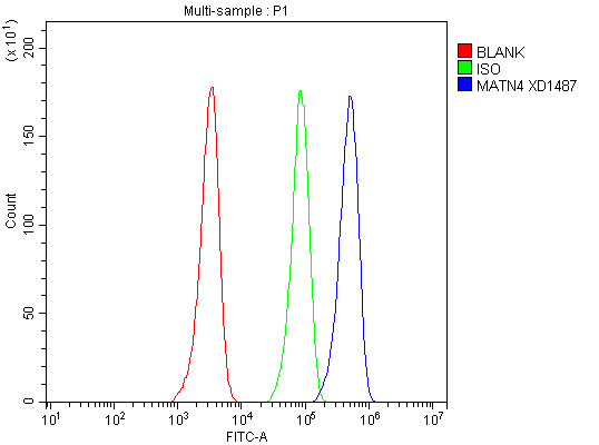 a11103 1 matrilin 4 matn4 primary antibodies fcm testing 2