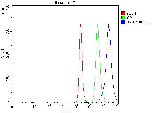 a11117 gngt1 primary antibodies fcm testing 1