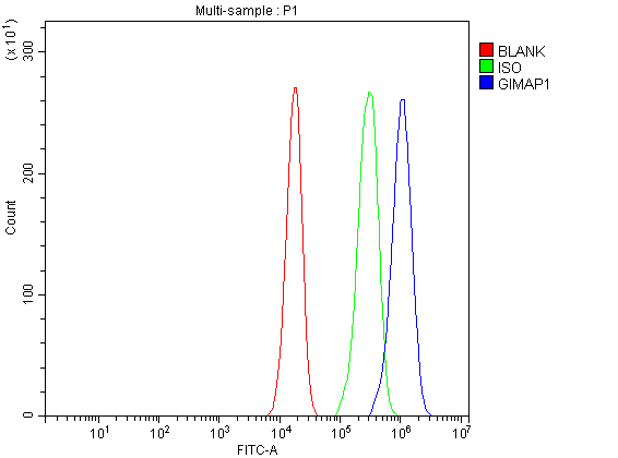 Figure 2. Flow Cytometry analysis of JK cells using anti-GIMAP1 antibody (A11144-1). Overlay histogram showing JK cells stained with A11144-1 (Blue line). To facilitate intracellular staining, cells were fixed with 4% paraformaldehyde and permeabilized with permeabilization buffer. The cells were blocked with 10% normal goat serum. And then incubated with rabbit anti-GIMAP1 Antibody (A11144-1, 1 microg/1x106 cells) for 30 min at 20°C. DyLight®488 conjugated goat anti-rabbit IgG (BA1127, 5-10 microg/1x106 cells) was used as secondary antibody for 30 minutes at 20°C. Isotype control antibody (Green line) was rabbit IgG (1 microg/1x106) used under the same conditions. Unlabelled sample (Red line) was also used as a control.