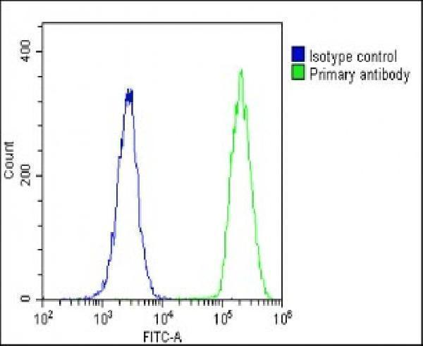 Overlay histogram showing U-2 OS cells stained with A11159-1 (green line)