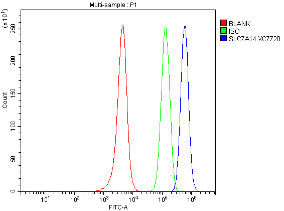 a11162 2 slc7a14 primary antibodies fcm testing 1