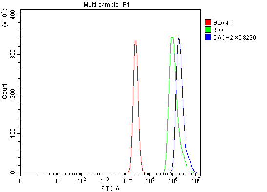 a11176 1 dach2 primary antibodies fcm testing 1