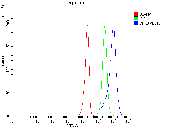a11185 1 gpx6 primary antibodies fcm testing 1