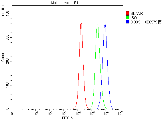 a11206 3 ddx51 primary antibodies fcm testing 1
