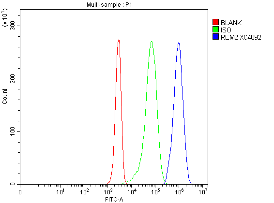  Flow Cytometry analysis of Jurkat cells using anti-REM2 antibody (A11219-2)