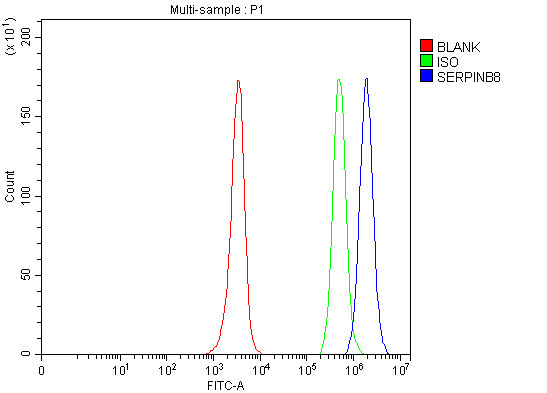 Figure 3. Flow Cytometry analysis of JK cells using anti-SERPINB8 antibody (A11265-1). Overlay histogram showing JK cells stained with A11265-1 (Blue line). To facilitate intracellular staining, cells were fixed with 4% paraformaldehyde and permeabilized with permeabilization buffer. The cells were blocked with 10% normal goat serum. And then incubated with rabbit anti-SERPINB8 Antibody (A11265-1, 1 microg/1x106 cells) for 30 min at 20°C. DyLight®488 conjugated goat anti-rabbit IgG (BA1127, 5-10 microg/1x106 cells) was used as secondary antibody for 30 minutes at 20°C. Isotype control antibody (Green line) was rabbit IgG (1 microg/1x106) used under the same conditions. Unlabelled sample (Red line) was also used as a control.