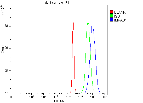 a11341 2 impad1 primary antibodies fcm testing 14