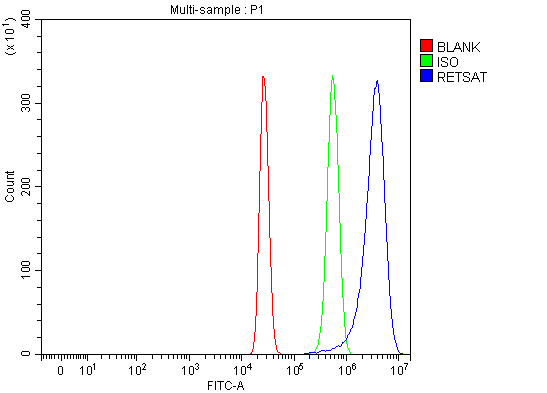  Flow Cytometry analysis of HepG2 cells using anti-RETSAT antibody (A11393)