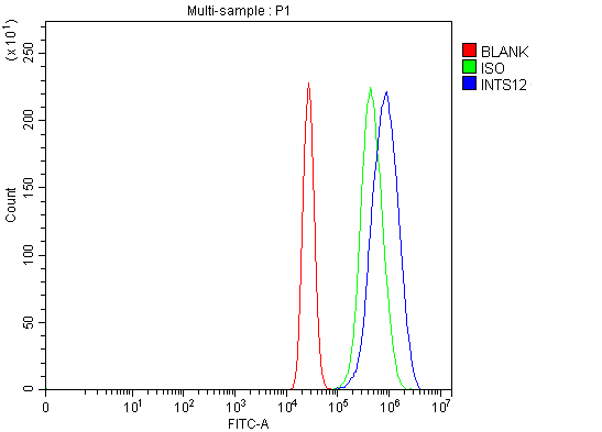 Figure 2. Flow Cytometry analysis of MCF-7 cells using anti-INTS12 antibody (A11402-1). Overlay histogram showing MCF-7 cells stained with A11402-1 (Blue line). To facilitate intracellular staining, cells were fixed with 4% paraformaldehyde and permeabilized with permeabilization buffer. The cells were blocked with 10% normal goat serum. And then incubated with rabbit anti-INTS12 Antibody (A11402-1, 1 microg/1x106 cells) for 30 min at 20°C. DyLight®488 conjugated goat anti-rabbit IgG (BA1127, 5-10 microg/1x106 cells) was used as secondary antibody for 30 minutes at 20°C. Isotype control antibody (Green line) was rabbit IgG (1 microg/1x106) used under the same conditions. Unlabelled sample (Red line) was also used as a control.