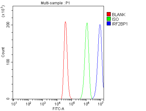 a11406 2 irf2bp1 primary antibodies fcm testing 25