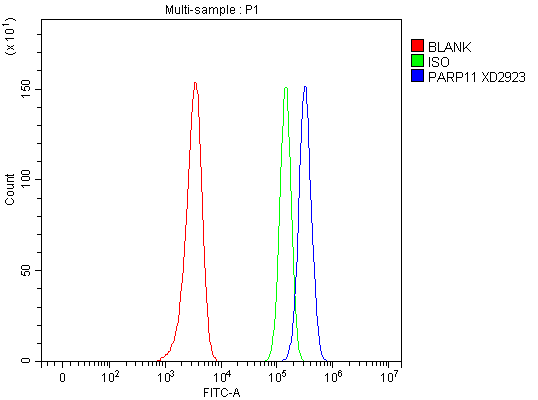 a11416 1 parp11 primary antibodies fcm testing 1