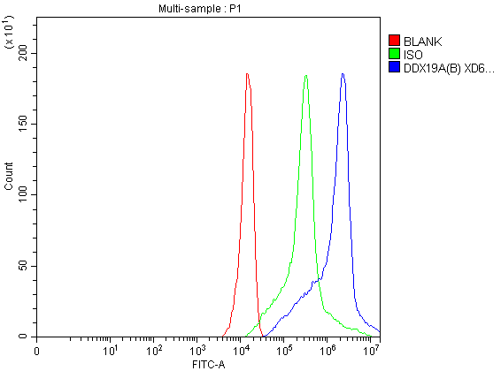 Flow Cytometry analysis of U251 cells using anti-DDX19A/B antibody (A11446-1)