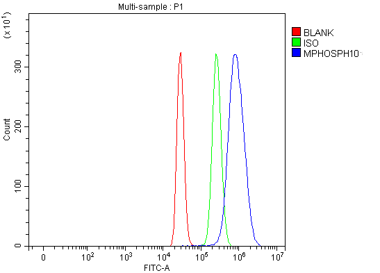 Figure 3. Flow Cytometry analysis of HepG2 cells using anti-MPHOSPH10 antibody (A11510-3). Overlay histogram showing HepG2 cells stained with A11510-3 (Blue line). To facilitate intracellular staining, cells were fixed with 4% paraformaldehyde and permeabilized with permeabilization buffer. The cells were blocked with 10% normal goat serum. And then incubated with rabbit anti-MPHOSPH10 Antibody (A11510-3, 1 microg/1x106 cells) for 30 min at 20°C. DyLight®488 conjugated goat anti-rabbit IgG (BA1127, 5-10 microg/1x106 cells) was used as secondary antibody for 30 minutes at 20°C. Isotype control antibody (Green line) was rabbit IgG (1 microg/1x106) used under the same conditions. Unlabelled sample (Red line) was also used as a control.