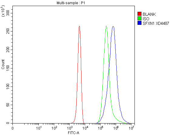 a11524 1 sfxn1 primary antibodies fcm testing 1