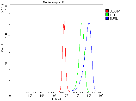 a11536 1 eurl primary antibodies fcm testing 1