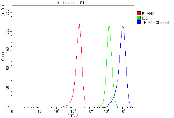 Flow Cytometry analysis of MCF-7 cells using anti-TRIM44 antibody (A11544-1)
