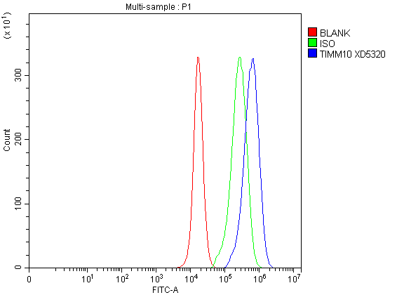 a11593 1 timm10 primary antibodies fcm testing 2