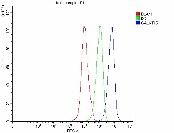 a11598 1 galnt15 primary antibodies fcm testing 4