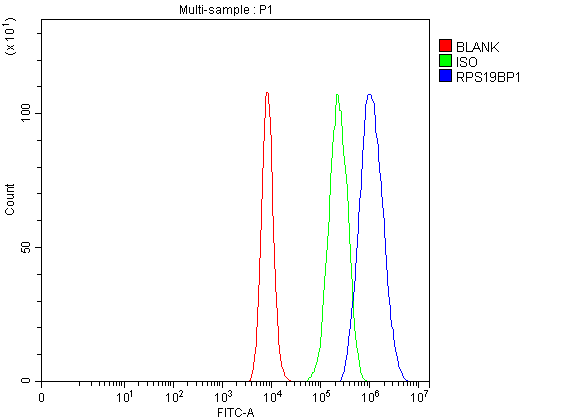 a11612 2 rps19bp1 primary antibodies fcm testing 3