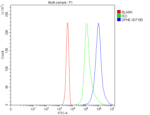 a11626 1 dph6 primary antibodies fcm testing 1