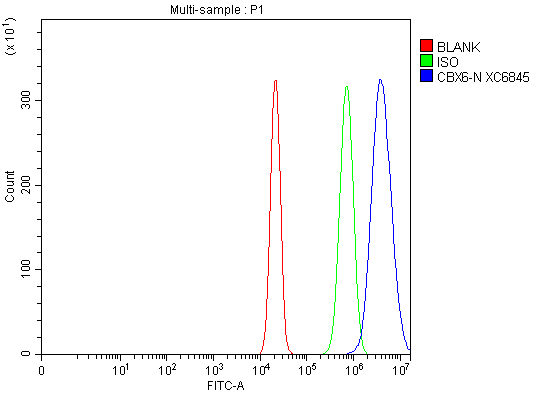 Flow Cytometry analysis of RT4 cells using anti-CBX6 antibody (A11651-2)