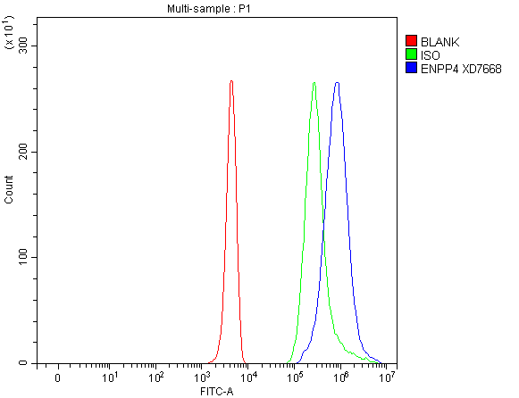 Flow Cytometry analysis of 293T cells using anti-ENPP4 antibody (A11668)