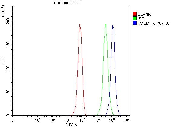 a11712 1 tmem175 primary antibodies fcm testing 1