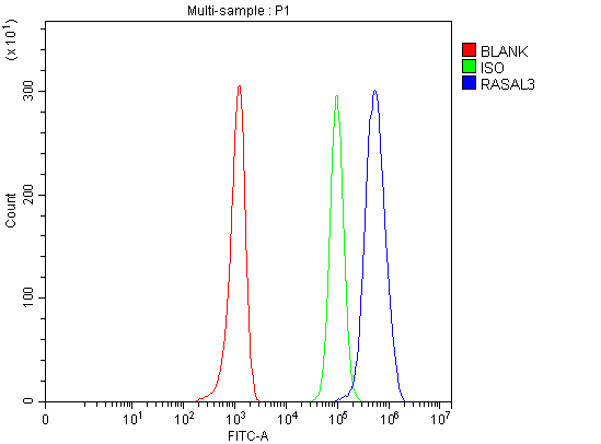  Flow Cytometry analysis of Raji cells using anti-RASAL3 antibody (A11713-1)
