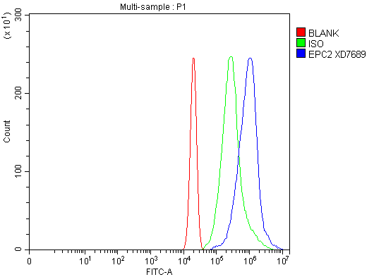 a11721 1 epc2 primary antibodies fcm testing 1