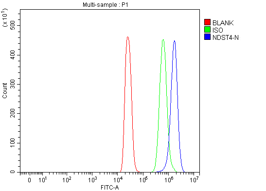 Figure 2. Flow Cytometry analysis of 293T cells using anti-NDST4 antibody (A11749-1). Overlay histogram showing 293T cells stained with A11749-1 (Blue line). To facilitate intracellular staining, cells were fixed with 4% paraformaldehyde and permeabilized with permeabilization buffer. The cells were blocked with 10% normal goat serum. And then incubated with rabbit anti-NDST4 Antibody (A11749-1, 1 microg/1x106 cells) for 30 min at 20°C. DyLight®488 conjugated goat anti-rabbit IgG (BA1127, 5-10 microg/1x106 cells) was used as secondary antibody for 30 minutes at 20°C. Isotype control antibody (Green line) was rabbit IgG (1 microg/1x106) used under the same conditions. Unlabelled sample (Red line) was also used as a control.