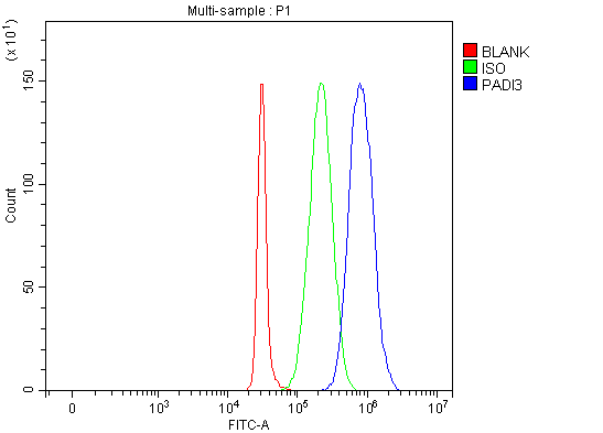 Figure 3. Flow Cytometry analysis of SH-SY5Y cells using anti-PADI3 antibody (A11754-1). Overlay histogram showing SH-SY5Y cells stained with A11754-1 (Blue line). To facilitate intracellular staining, cells were fixed with 4% paraformaldehyde and permeabilized with permeabilization buffer. The cells were blocked with 10% normal goat serum. And then incubated with rabbit anti-PADI3 Antibody (A11754-1, 1 microg/1x106 cells) for 30 min at 20°C. DyLight®488 conjugated goat anti-rabbit IgG (BA1127, 5-10 microg/1x106 cells) was used as secondary antibody for 30 minutes at 20°C. Isotype control antibody (Green line) was rabbit IgG (1 microg/1x106) used under the same conditions. Unlabelled sample (Red line) was also used as a control. Figure 3. Flow Cytometry analysis of SH-SY5Y cells using anti-PADI3 antibody (A11754-1). Overlay histogram showing SH-SY5Y cells stained with A11754-1 (Blue line). To facilitate intracellular staining, cells were fixed with 4% paraformaldehyde and permeabilized with permeabilization buffer. The cells were blocked with 10% normal goat serum. And then incubated with rabbit anti-PADI3 Antibody (A11754-1, 1 microg/1x106 cells) for 30 min at 20°C. DyLight®488 conjugated goat anti-rabbit IgG (BA1127, 5-10 microg/1x106 cells) was used as secondary antibody for 30 minutes at 20°C. Isotype control antibody (Green line) was rabbit IgG (1 microg/1x106) used under the same conditions. Unlabelled sample (Red line) was also used as a control.