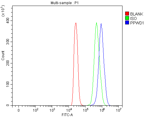 Figure 5. Flow Cytometry analysis of 293T cells using anti-PPWD1 antibody (A11798-1). Overlay histogram showing 293T cells stained with A11798-1 (Blue line). To facilitate intracellular staining, cells were fixed with 4% paraformaldehyde and permeabilized with permeabilization buffer. The cells were blocked with 10% normal goat serum. And then incubated with rabbit anti-PPWD1 Antibody (A11798-1, 1 microg/1x106 cells) for 30 min at 20°C. DyLight®488 conjugated goat anti-rabbit IgG (BA1127, 5-10 microg/1x106 cells) was used as secondary antibody for 30 minutes at 20°C. Isotype control antibody (Green line) was rabbit IgG (1 microg/1x106) used under the same conditions. Unlabelled sample (Red line) was also used as a control. Figure 5. Flow Cytometry analysis of 293T cells using anti-PPWD1 antibody (A11798-1). Overlay histogram showing 293T cells stained with A11798-1 (Blue line). To facilitate intracellular staining, cells were fixed with 4% paraformaldehyde and permeabilized with permeabilization buffer. The cells were blocked with 10% normal goat serum. And then incubated with rabbit anti-PPWD1 Antibody (A11798-1, 1 microg/1x106 cells) for 30 min at 20°C. DyLight®488 conjugated goat anti-rabbit IgG (BA1127, 5-10 microg/1x106 cells) was used as secondary antibody for 30 minutes at 20°C. Isotype control antibody (Green line) was rabbit IgG (1 microg/1x106) used under the same conditions. Unlabelled sample (Red line) was also used as a control.