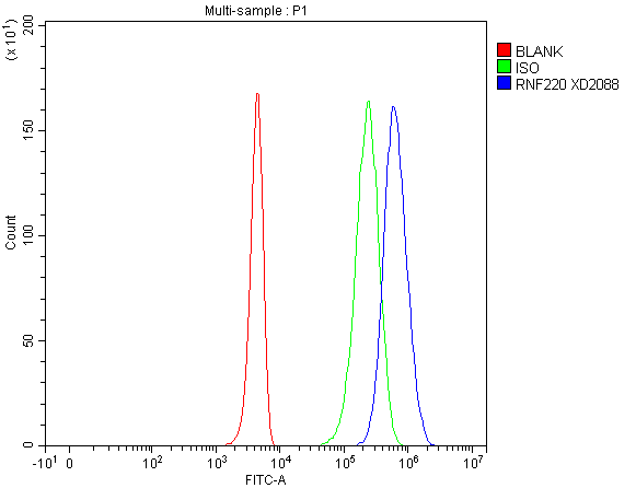 a11818 1 rnf220 primary antibodies fcm testing 6