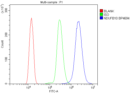 Figure 9. Flow Cytometry analysis of HL-60 cells using anti-NDUFB10 antibody (A11886-3). Overlay histogram showing HL-60 cells stained with A11886-3 (Blue line). To facilitate intracellular staining, cells were fixed with 4% paraformaldehyde and permeabilized with permeabilization buffer. The cells were blocked with 10% normal goat serum. And then incubated with rabbit anti-NDUFB10 Antibody (A11886-3, 1microg/1x106 cells) for 30 min at 20°C. DyLight®488 conjugated goat anti-rabbit IgG (BA1127, 5-10microg/1x106 cells) was used as secondary antibody for 30 minutes at 20°C. Isotype control antibody (Green line) was rabbit IgG (1microg/1x106) used under the same conditions. Unlabelled sample without incubation with primary antibody and secondary antibody (Red line) was used as a blank control.