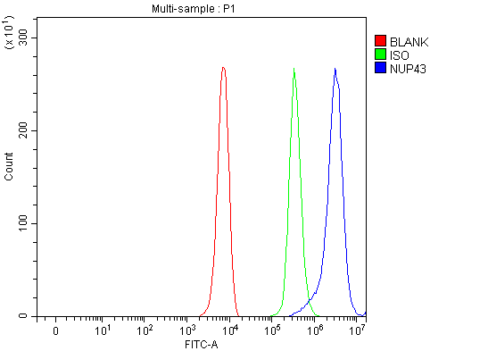 a11950 1 nup43 primary antibodies fcm testing 23