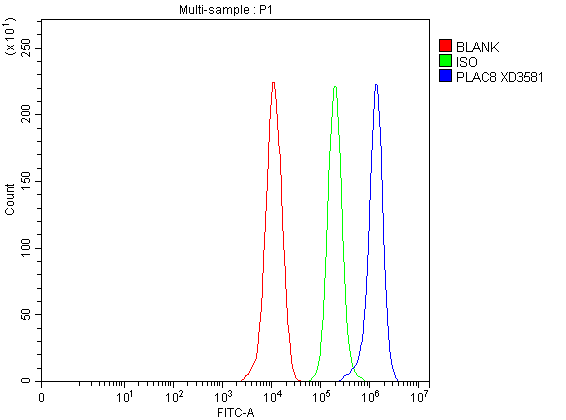 a11984 plac8 primary antibodies fcm testing 1