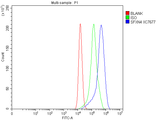 a12029 2 sfxn4 primary antibodies fcm testing 1